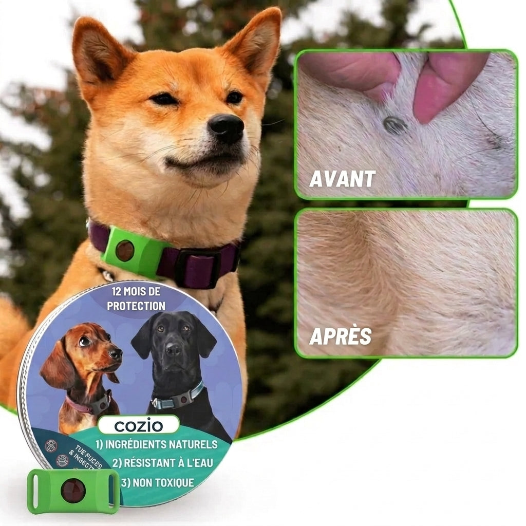 Médaille Anti-Parasites Cozio™ - 12 Mois de Protection Sans Chimie