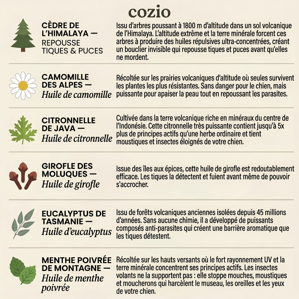 Médaille Anti-Parasites Cozio™ - 12 Mois de Protection Sans Chimie