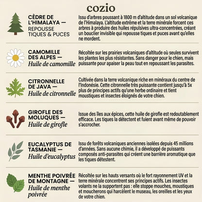 Médaille Anti-Parasites Cozio™ - 12 Mois de Protection Sans Chimie