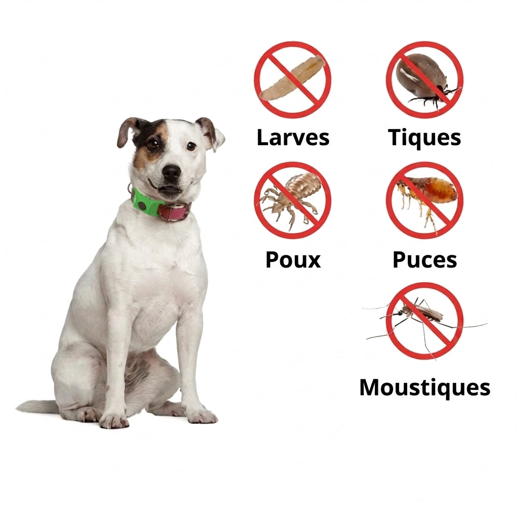Médaille Anti-Parasites Cozio™ - 12 Mois de Protection Sans Chimie