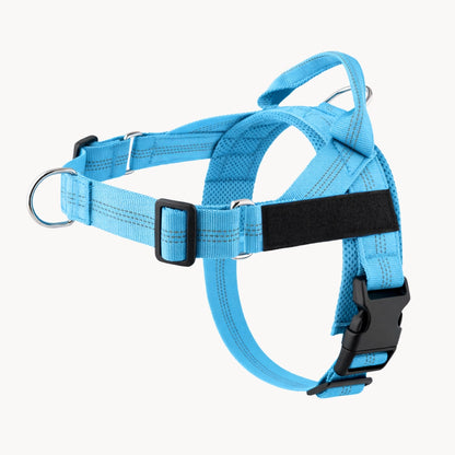 Harnais pour chien anti-traction