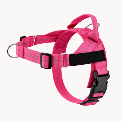 Harnais pour chien anti-traction