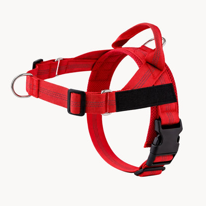 Harnais pour chien anti-traction