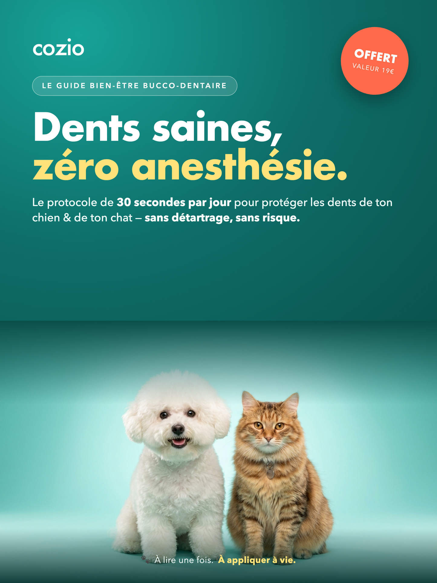 Le guide anti-détartrage