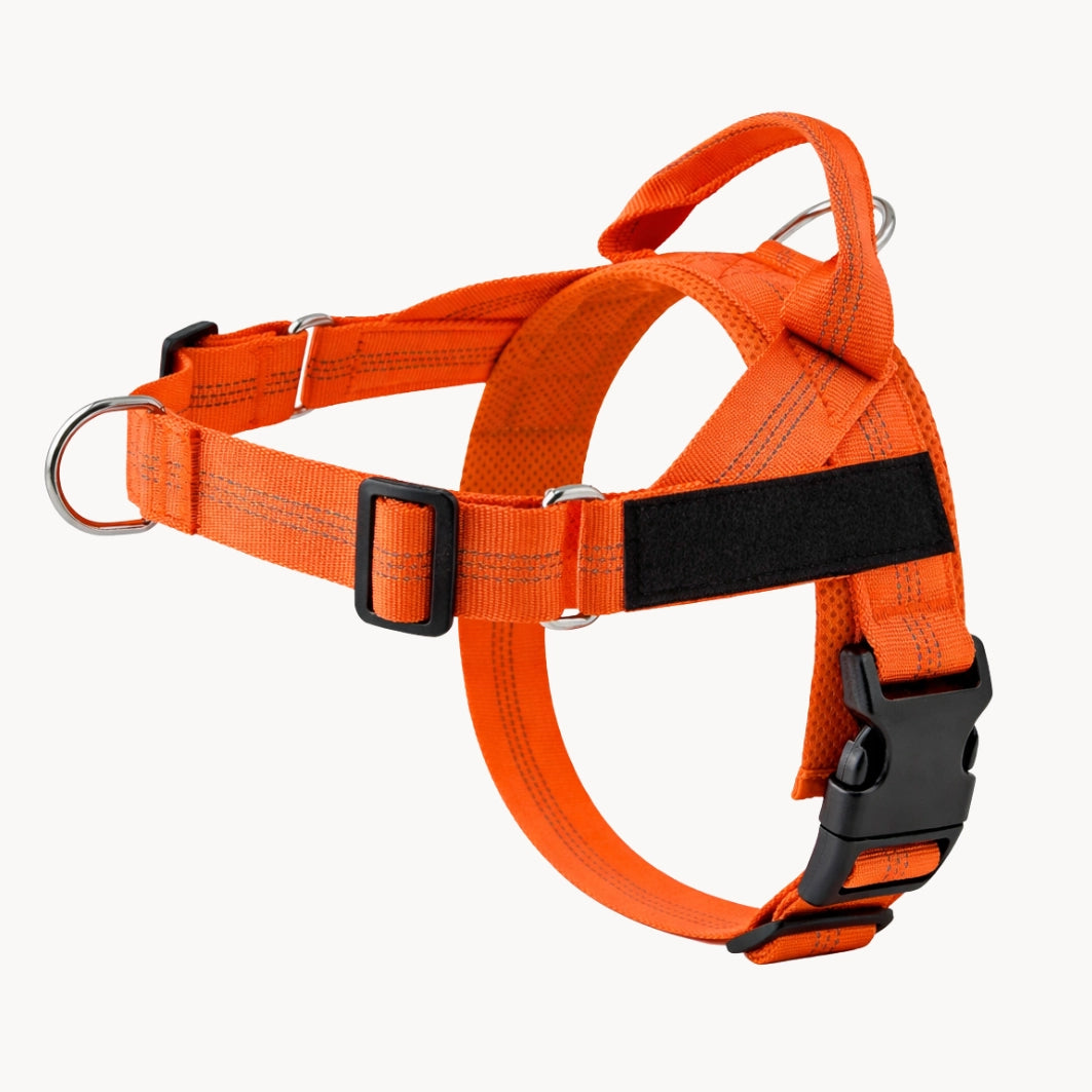 Harnais pour chien anti-traction