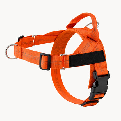 Harnais pour chien anti-traction