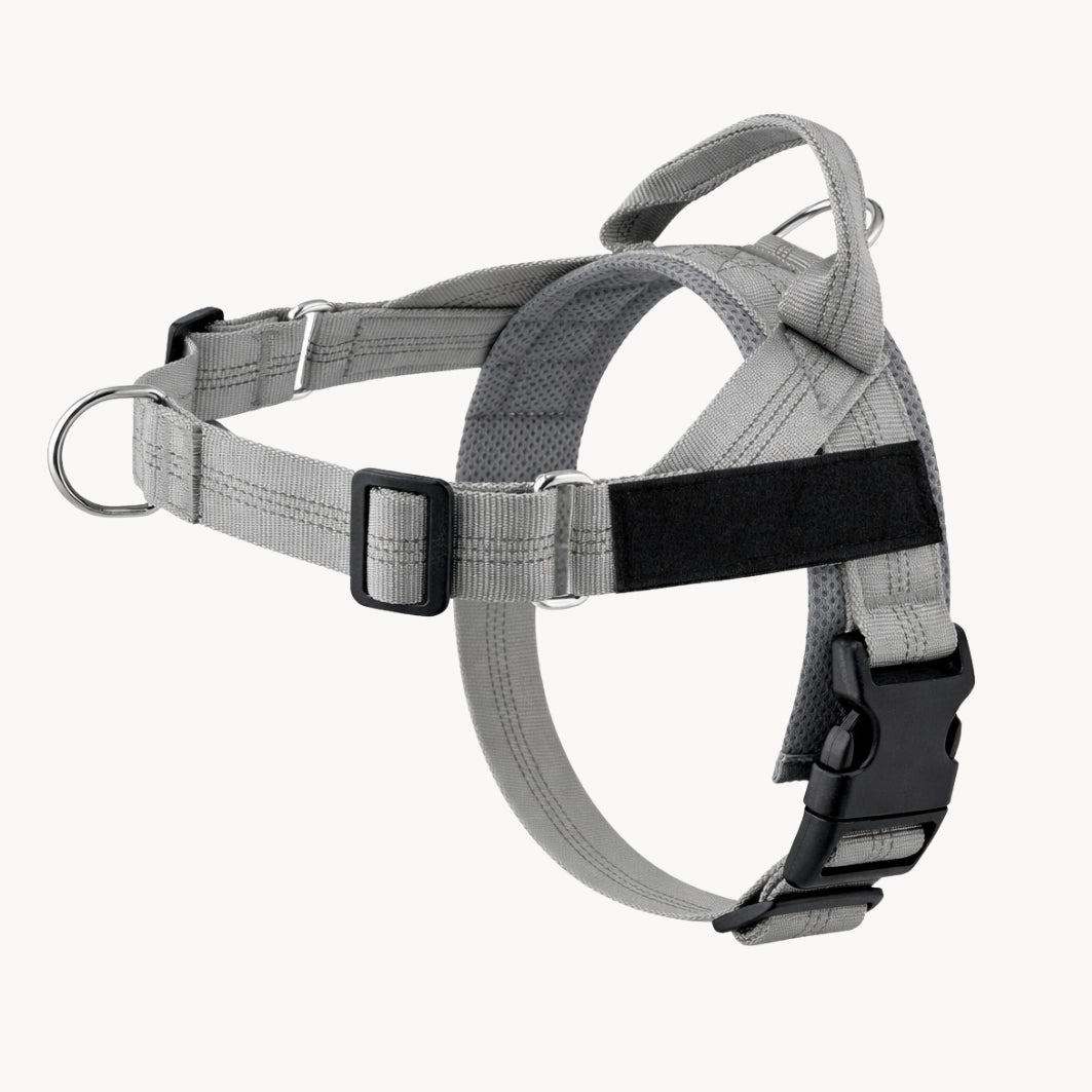 Harnais pour chien anti-traction