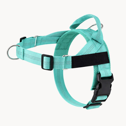 Harnais pour chien anti-traction