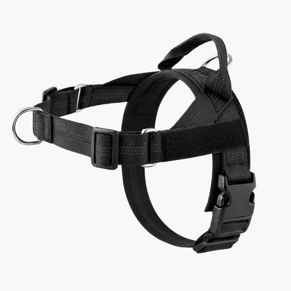 Harnais pour chien anti-traction