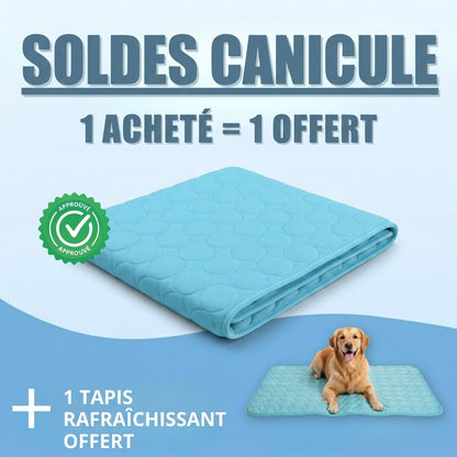 Tapis Rafraîchissant Arctic cozio