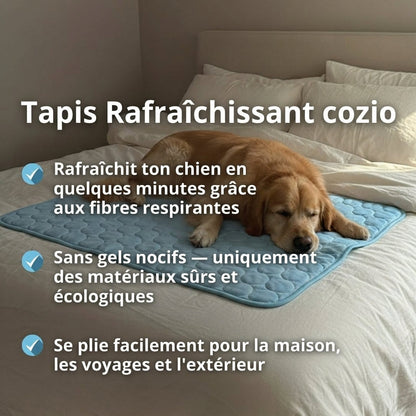 Tapis Rafraîchissant Arctic cozio