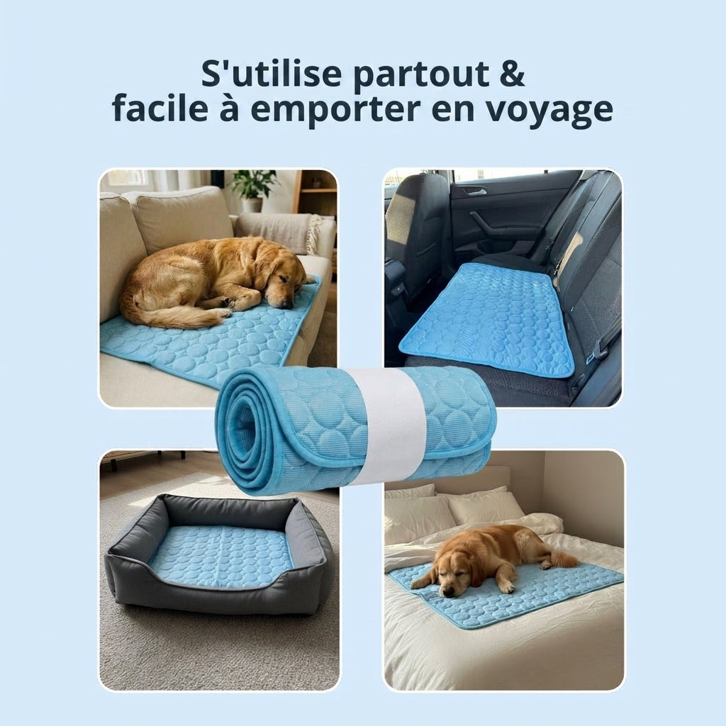 Tapis Rafraîchissant Arctic cozio