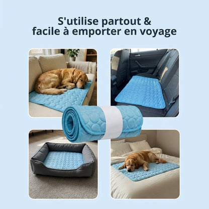 Tapis Rafraîchissant Arctic cozio