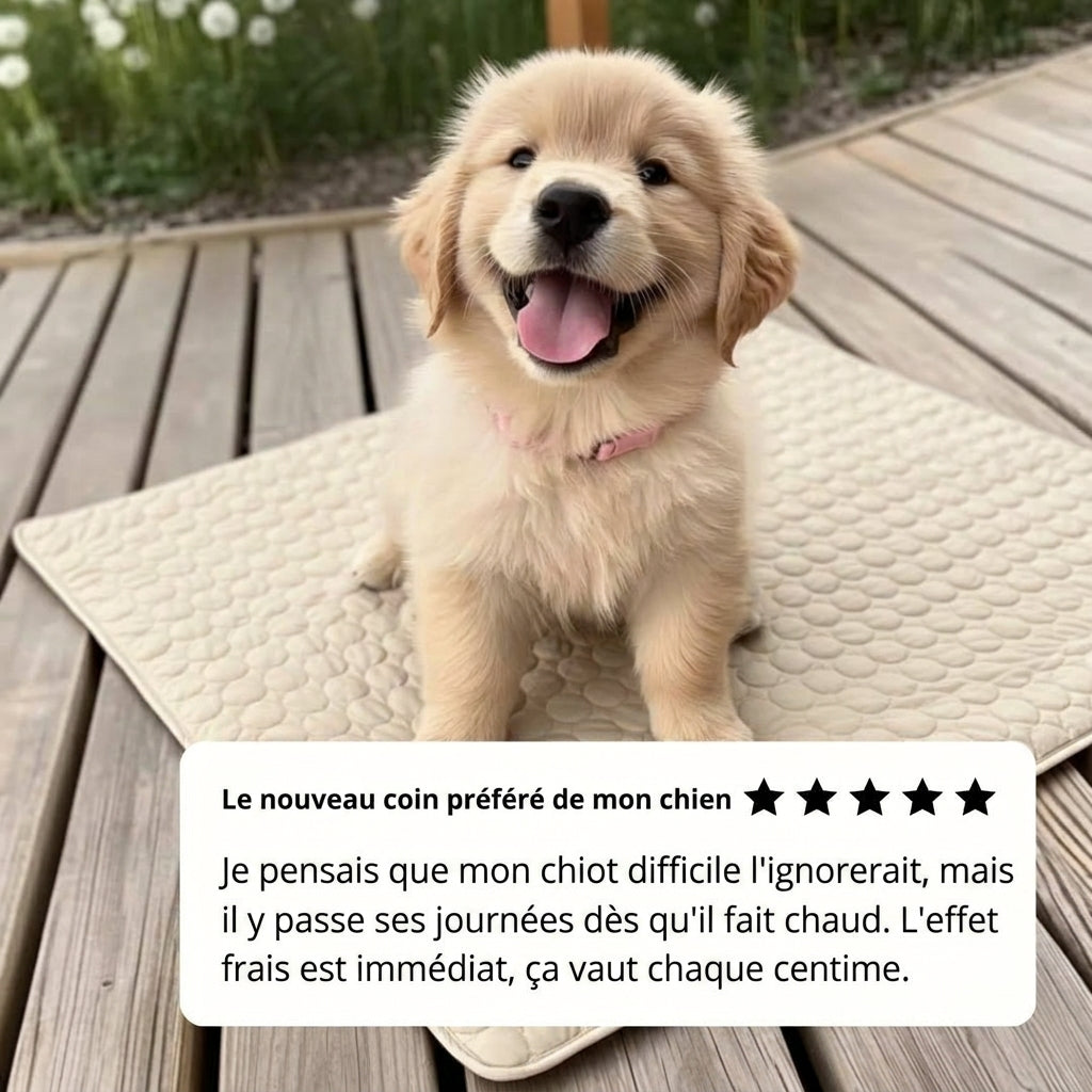 Tapis Rafraîchissant Arctic cozio