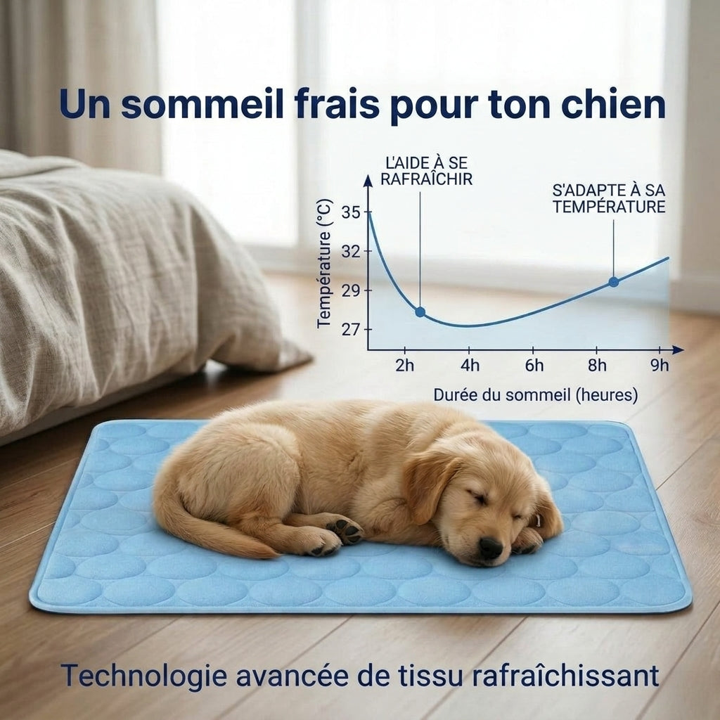 Tapis Rafraîchissant Arctic cozio