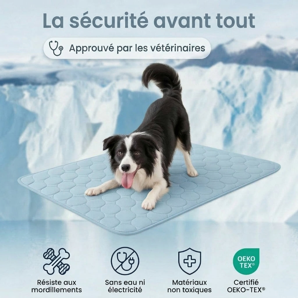 Tapis Rafraîchissant Arctic cozio