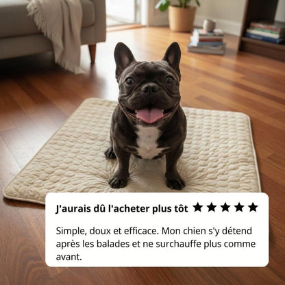 Tapis Rafraîchissant Arctic cozio