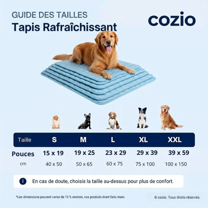 Tapis Rafraîchissant Arctic cozio
