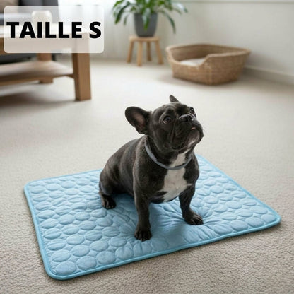 Tapis Rafraîchissant Arctic cozio