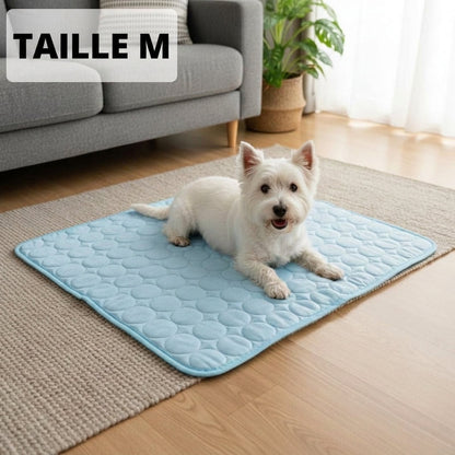 Tapis Rafraîchissant Arctic cozio