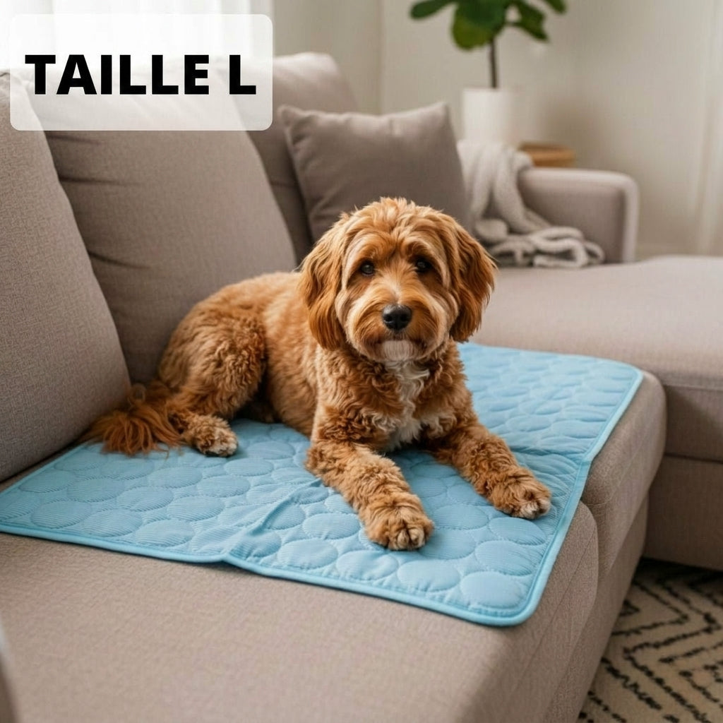 Tapis Rafraîchissant Arctic cozio
