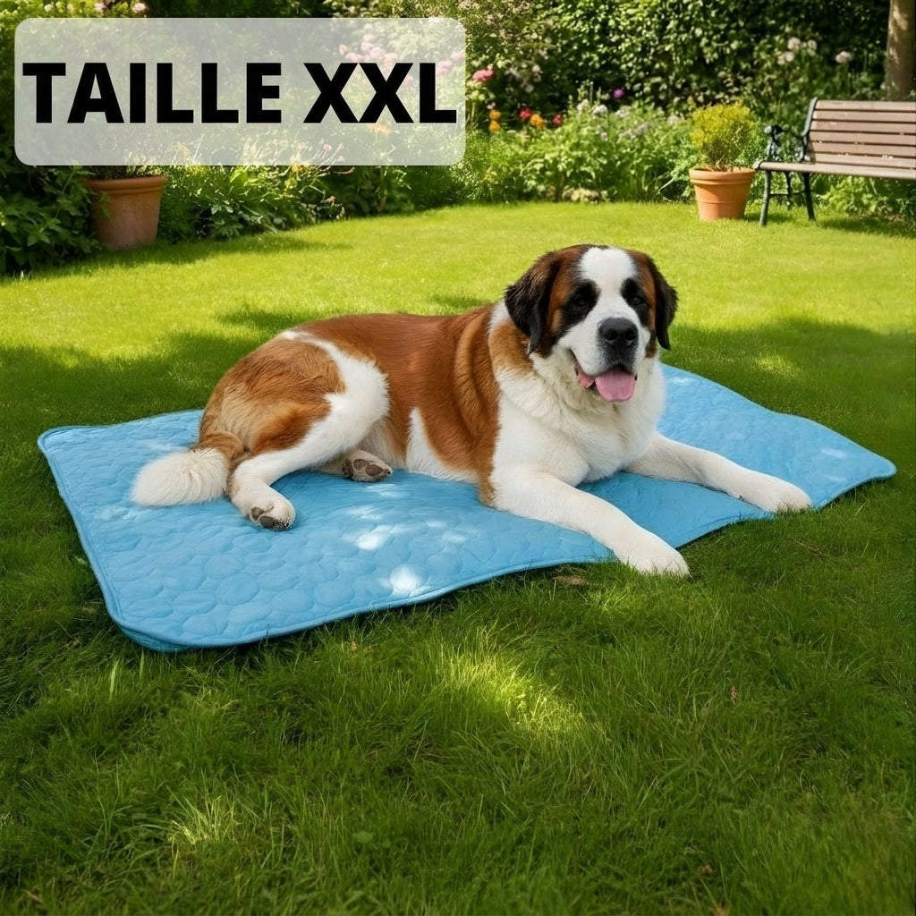 Tapis Rafraîchissant Arctic cozio