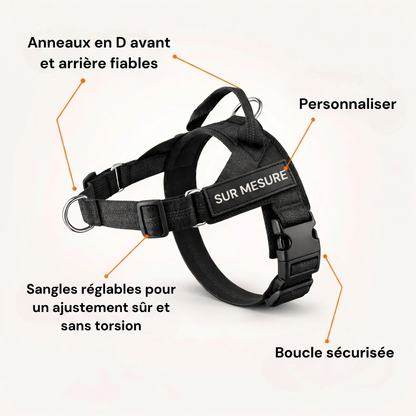Harnais pour chien anti-traction