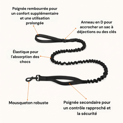 Harnais pour chien anti-traction