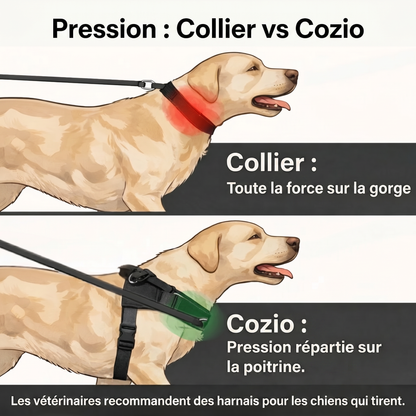 Harnais pour chien anti-traction