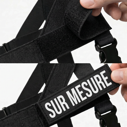 Harnais pour chien anti-traction