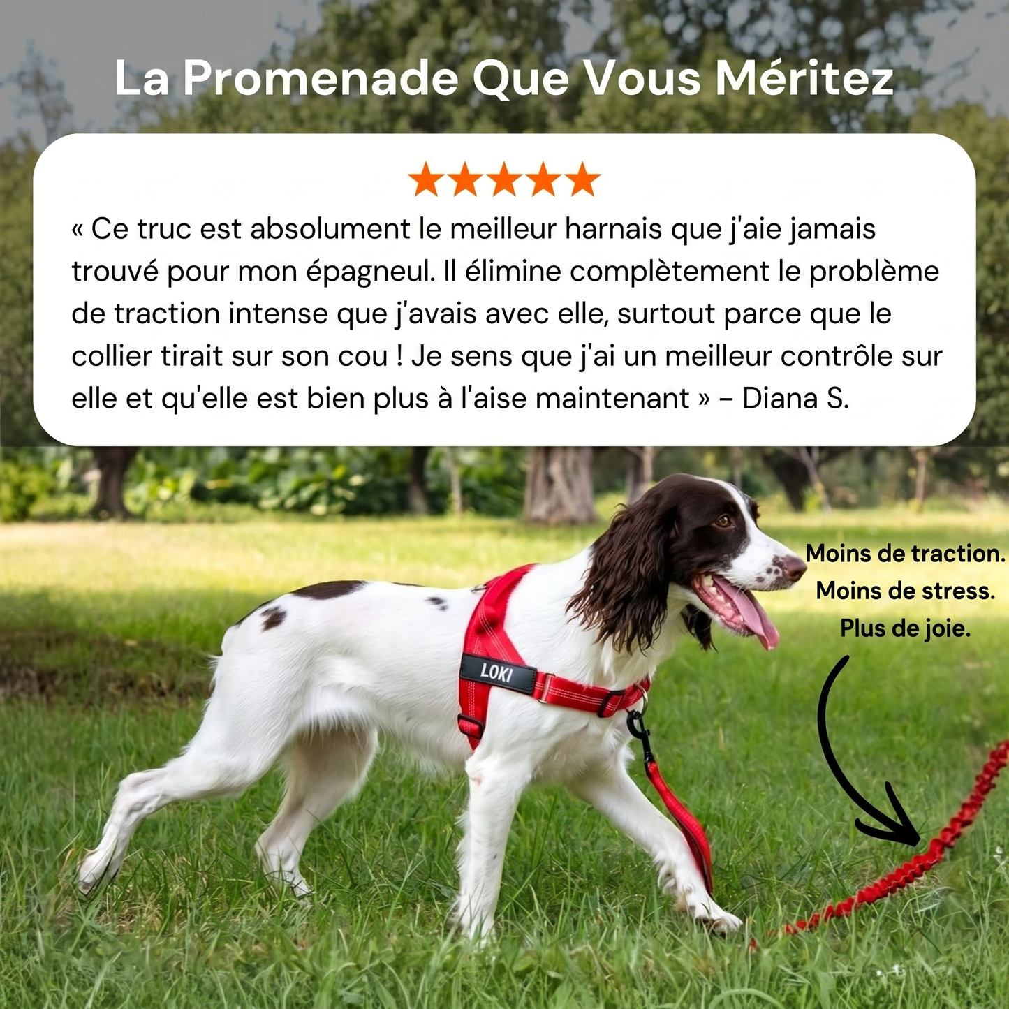 Harnais pour chien anti-traction