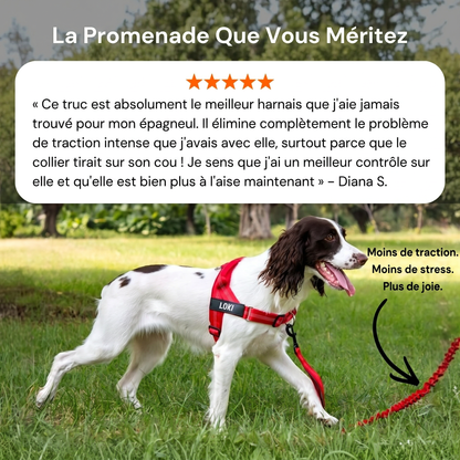 Harnais pour chien anti-traction