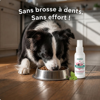 Spray Dentaire cozio™ – Élimine les bactéries responsables du tartre et de la mauvaise haleine chez le chien